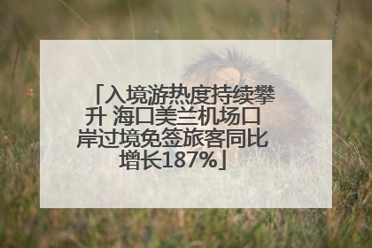 入境游热度持续攀升 海口美兰机场口岸过境免签旅客同比增长187%