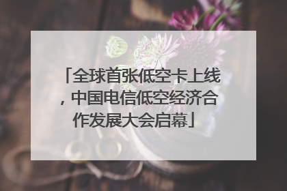 全球首张低空卡上线，中国电信低空经济合作发展大会启幕