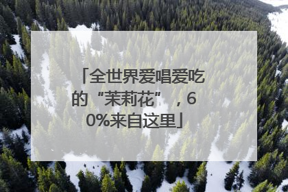全世界爱唱爱吃的“茉莉花”，60%来自这里