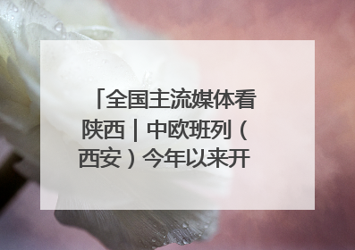 全国主流媒体看陕西｜中欧班列（西安）今年以来开行超2500列
