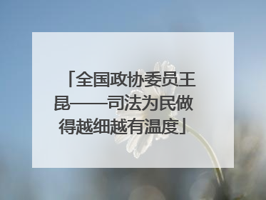 全国政协委员王昆——司法为民做得越细越有温度