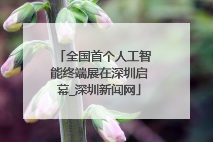 全国首个人工智能终端展在深圳启幕_深圳新闻网