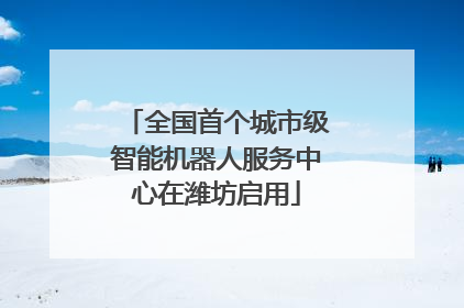 全国首个城市级智能机器人服务中心在潍坊启用