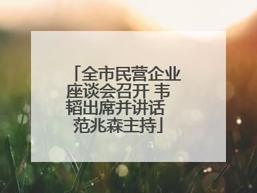 全市民营企业座谈会召开 韦韬出席并讲话 范兆森主持