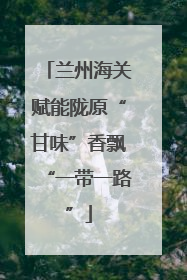 兰州海关赋能陇原“甘味”香飘“一带一路”