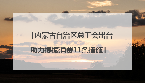 内蒙古自治区总工会出台助力提振消费11条措施