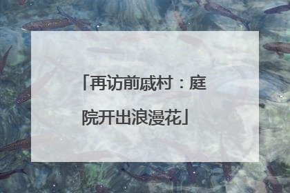 再访前戚村：庭院开出浪漫花