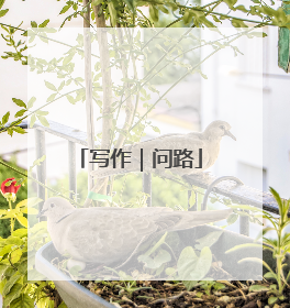 写作｜问路