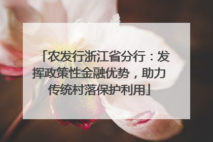 农发行浙江省分行：发挥政策性金融优势，助力传统村落保护利用