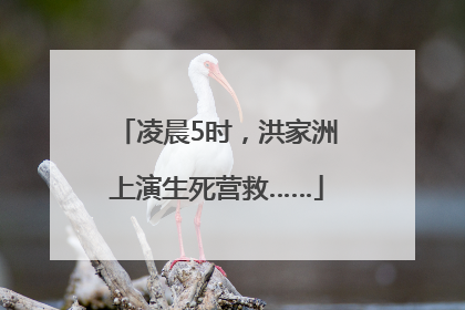 凌晨5时，洪家洲上演生死营救……