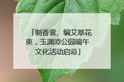 制香囊、编艾草花束，玉渊潭公园端午文化活动启幕