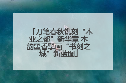 刀笔春秋镌刻“木业之都”新华章 木韵墨香擘画“书刻之城”新蓝图