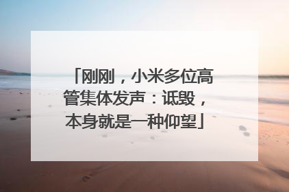 刚刚，小米多位高管集体发声：诋毁，本身就是一种仰望