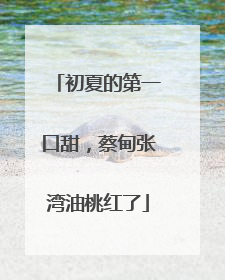 初夏的第一口甜，蔡甸张湾油桃红了
