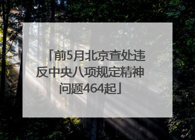 前5月北京查处违反中央八项规定精神问题464起