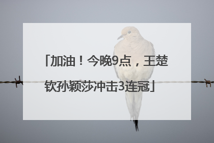 加油！今晚9点，王楚钦孙颖莎冲击3连冠