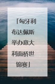 匈牙利布达佩斯举办意大利面桥世锦赛
