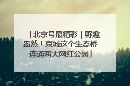 北京号最精彩｜野趣盎然！京城这个生态桥连通两大网红公园