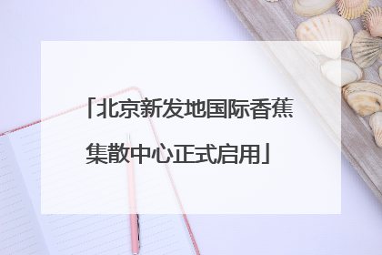 北京新发地国际香蕉集散中心正式启用