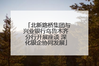 北新路桥集团与兴业银行乌鲁木齐分行开展座谈 深化银企协同发展