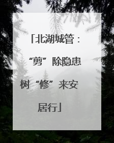 北湖城管：“剪”除隐患树“修”来安居行