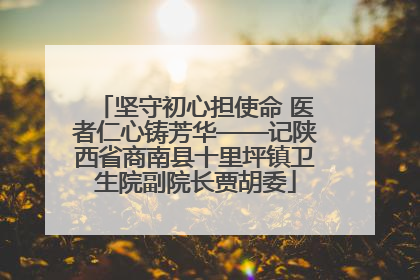 坚守初心担使命 医者仁心铸芳华——记陕西省商南县十里坪镇卫生院副院长贾胡委