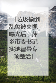 垃圾偷倒乱象被央视曝光后，萍乡市委书记实地督导专项整治