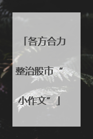 各方合力整治股市“小作文”