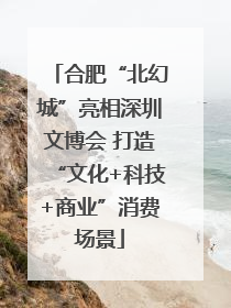 合肥“北幻城”亮相深圳文博会 打造“文化+科技+商业”消费场景