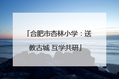 合肥市杏林小学：送教古城 互学共研