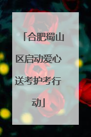 合肥蜀山区启动爱心送考护考行动