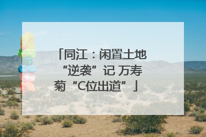 同江：闲置土地“逆袭”记 万寿菊“C位出道”