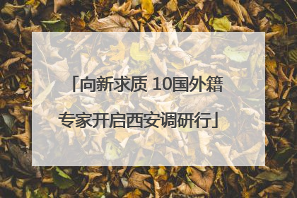 向新求质 10国外籍专家开启西安调研行