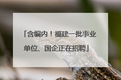 含编内！福建一批事业单位、国企正在招聘
