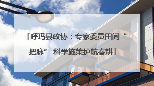 呼玛县政协：专家委员田间“把脉” 科学施策护航春耕