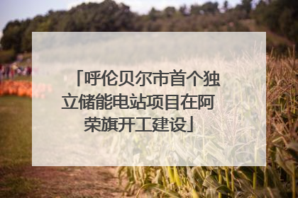 呼伦贝尔市首个独立储能电站项目在阿荣旗开工建设