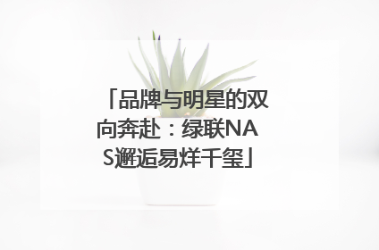 品牌与明星的双向奔赴：绿联NAS邂逅易烊千玺