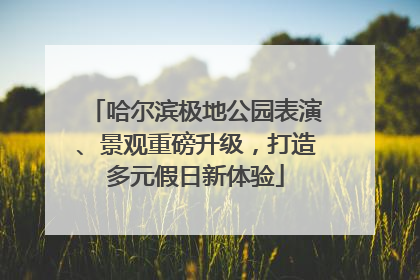 哈尔滨极地公园表演、景观重磅升级，打造多元假日新体验