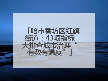 哈市香坊区红旗街道：43项指标大排查城市治理“有数有温度”