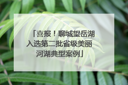 喜报！聊城望岳湖入选第二批省级美丽河湖典型案例