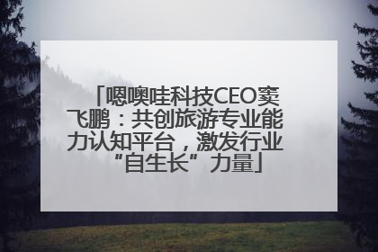 嗯噢哇科技CEO窦飞鹏：共创旅游专业能力认知平台，激发行业“自生长”力量
