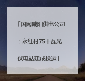 国网咸阳供电公司：永红村75千瓦光伏电站建成投运