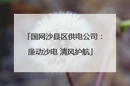 国网沙县区供电公司：廉动沙电 清风护航