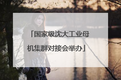 国家级沈大工业母机集群对接会举办