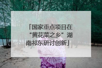 国家重点项目在“黄花菜之乡”湖南祁东研讨创新