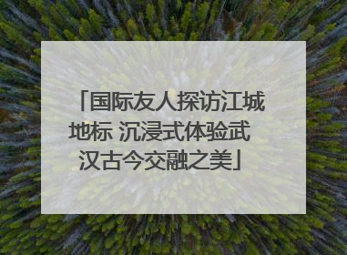国际友人探访江城地标 沉浸式体验武汉古今交融之美