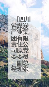 四川省煤炭产业集团有限责任公司原党委委员、副总经理张万松 接受纪律审查和监察调查
