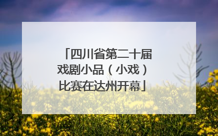 四川省第二十届戏剧小品（小戏）比赛在达州开幕
