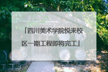 四川美术学院悦来校区一期工程即将完工
