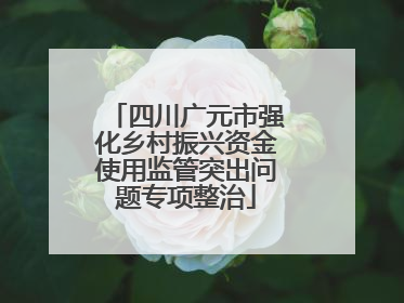 四川广元市强化乡村振兴资金使用监管突出问题专项整治